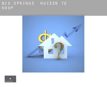 Big Springs  huizen te koop