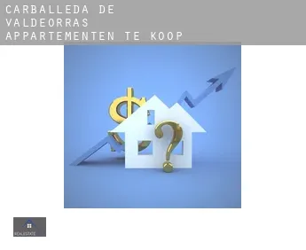 Carballeda de Valdeorras  appartementen te koop