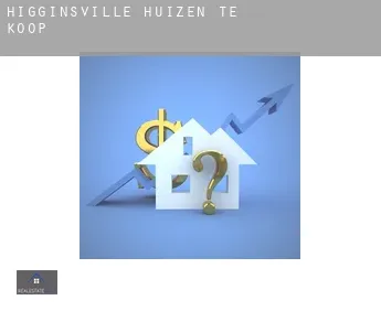 Higginsville  huizen te koop