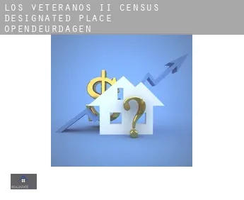 Los Veteranos II  opendeurdagen