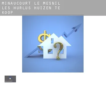 Minaucourt-le-Mesnil-lès-Hurlus  huizen te koop