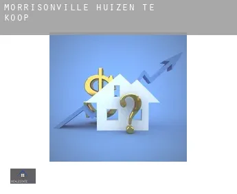 Morrisonville  huizen te koop