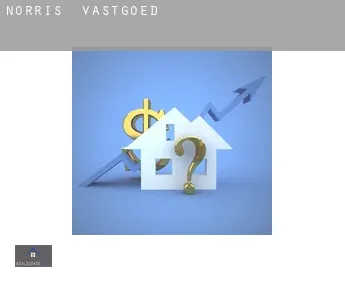 Norris  vastgoed