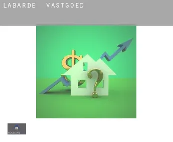 Labarde  vastgoed