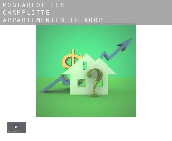 Montarlot-lès-Champlitte  appartementen te koop