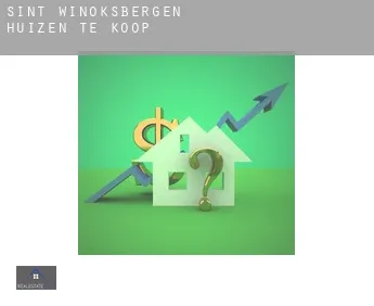 Sint-Winoksbergen  huizen te koop