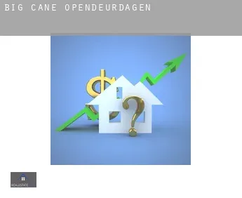 Big Cane  opendeurdagen