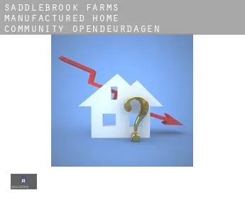 Saddlebrook Farms Manufactured Home Community  opendeurdagen