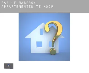 Bas le Naberon  appartementen te koop
