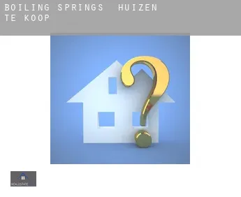 Boiling Springs  huizen te koop