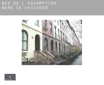 Bas-de-L'Assomption-Nord (census area)  vastgoed