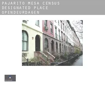 Pajarito Mesa  opendeurdagen