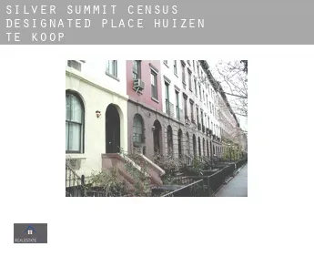 Silver Summit  huizen te koop