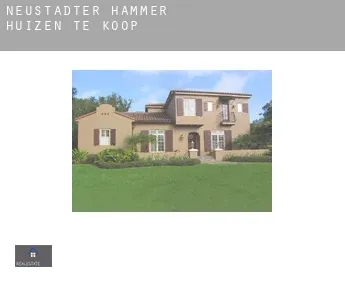 Neustädter Hammer  huizen te koop