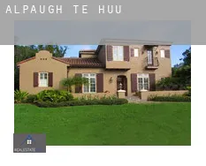 Alpaugh te huur