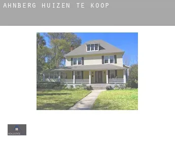 Ahnberg  huizen te koop