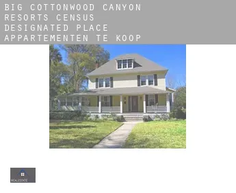 Big Cottonwood Canyon Resorts  appartementen te koop