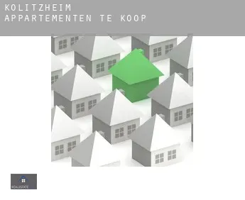 Kolitzheim  appartementen te koop