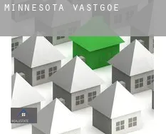 Minnesota  vastgoed