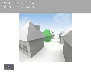 Balleen Bridge  opendeurdagen