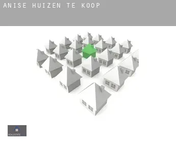 Anise  huizen te koop