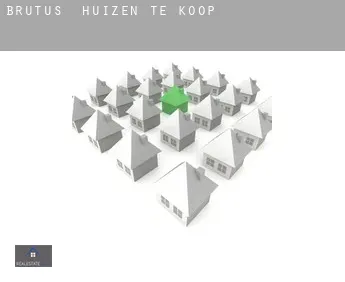Brutus  huizen te koop