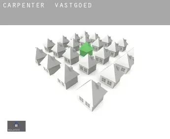 Carpenter  vastgoed