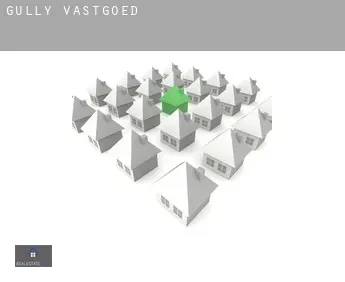 Gully  vastgoed