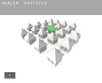 Harlem  vastgoed