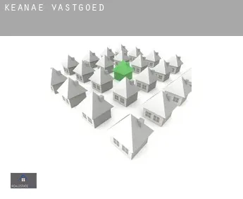 Ke‘anae  vastgoed