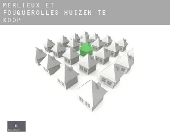 Merlieux-et-Fouquerolles  huizen te koop