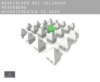 Neukirchen bei Sulzbach-Rosenberg  appartementen te koop