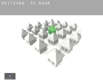 Peitzing  te huur
