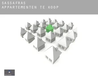 Sassafras  appartementen te koop