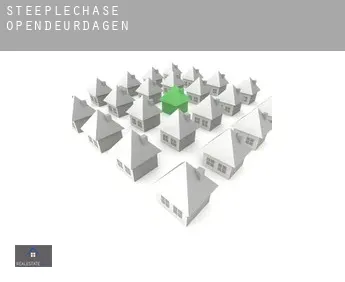 Steeplechase  opendeurdagen
