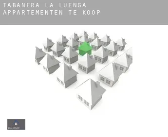 Tabanera la Luenga  appartementen te koop