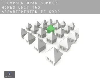 Thompson Draw Summer Homes Unit Two  appartementen te koop
