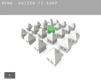 Weng  huizen te koop