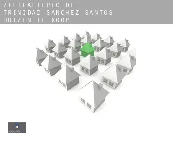 Ziltlaltepec de Trinidad Sanchez Santos  huizen te koop