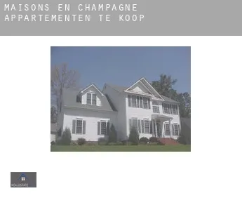 Maisons-en-Champagne  appartementen te koop