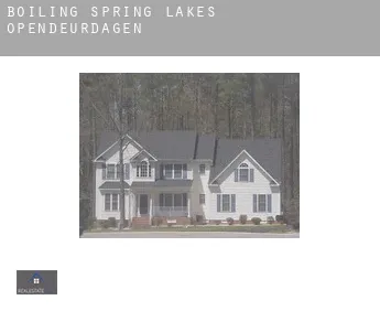 Boiling Spring Lakes  opendeurdagen