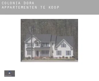 Colonia Dora  appartementen te koop