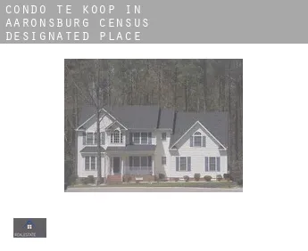 Condo te koop in  Aaronsburg