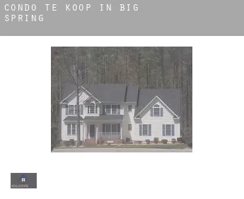 Condo te koop in  Big Spring