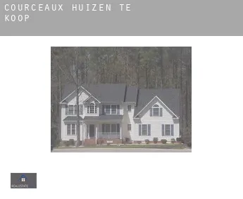 Courceaux  huizen te koop