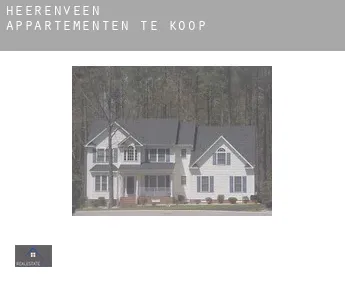 Heerenveen  appartementen te koop