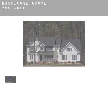 Hurricane Grove  vastgoed