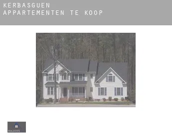 Kerbasguen  appartementen te koop