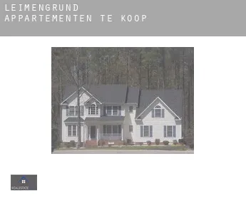 Leimengrund  appartementen te koop