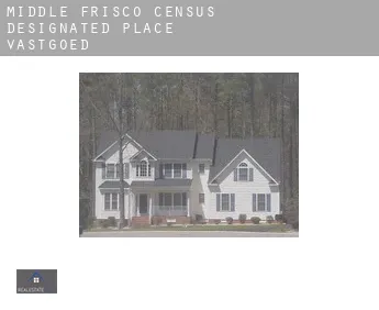 Middle Frisco  vastgoed